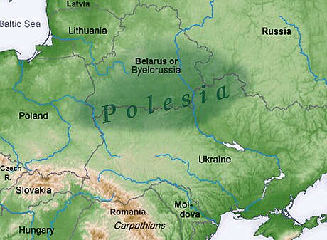 Polesian Lowland