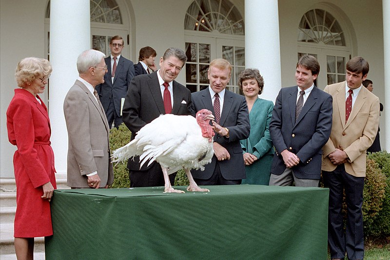 File:President Ronald Reagan during the Presentation of the Thanksgiving Turkey.jpg