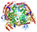 Thumbnail for Exosome component 6