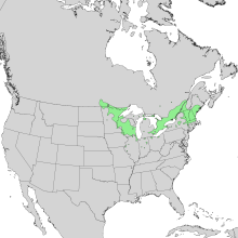 Prunus nigra range map 1.png