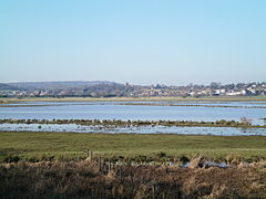 Pulborough Brooks.JPG