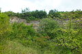 English: Růžičkův lom (Růžička's Quarry), paleontological site and national natural monument north of Čelechovice na Hané. Čeština: Růžičkův lom, národní přírodní památka, severně od Čelechovic na Hané.