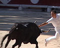 In some countries Bullfighting is a sport. Different places have different rules about whether the bulls get killed.