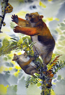 Reconstruction of Nimbadon lavarackorum mother and juvenile by Peter Schouten