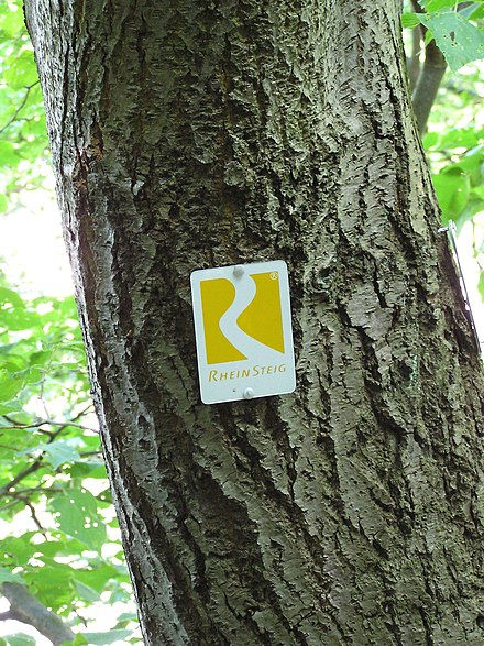 Yellow Rheinsteig marker