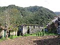 Ribeira Funda, Seixal, Madeira - 2016-05-22 - IMG 2380.jpg