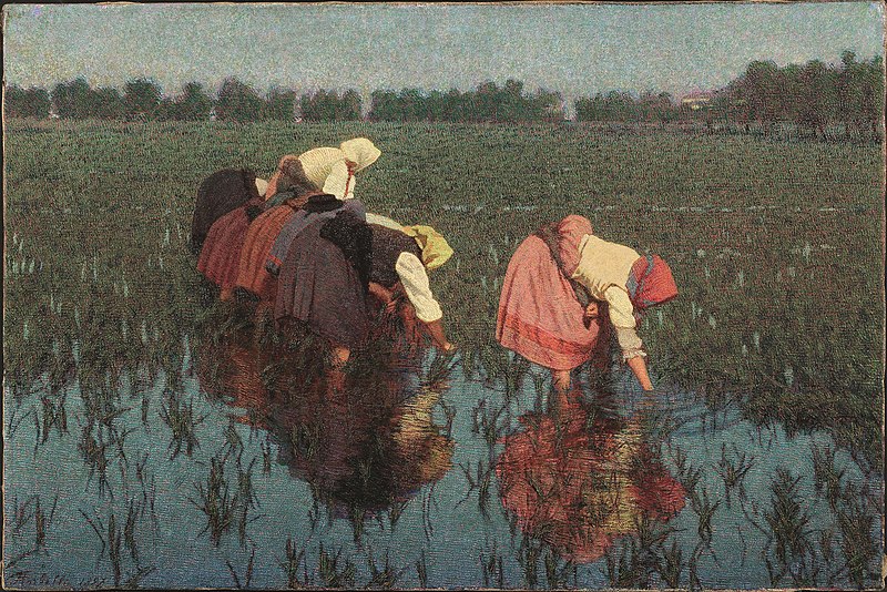 File:Rice harvesters (1897), by Angelo Morbelli.jpg