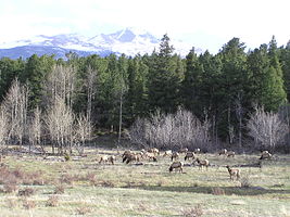 Rocky Mountain National Park PA152452.jpg