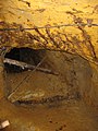 Rosia Montana Roman Gold Mines 2011 - Galleries-10.jpg