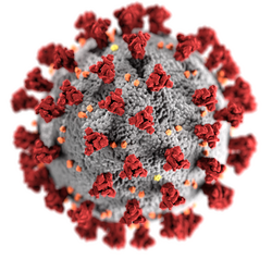2020: Coronaviruspandemin, Händelser, Rörliga högtidsdagar