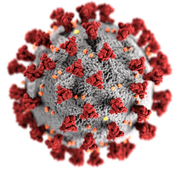 File:SARS-CoV-2 (CDC-23312).png