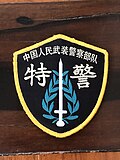 Thumbnail for Special Police Unit of the Chinese People's Armed Police Force