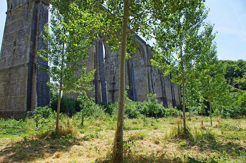 File:Saint-Epain (Indre-et-Loire) (14602675421).jpg