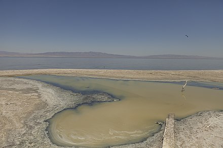 Toxic Salt ponds along the Western shoreline