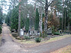 Saltoniskes Cemetery5.JPG