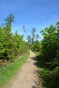 Schleswig-Holstein, Mildstedt, Naturerlebnisraum NIK 6551.jpg