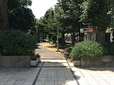 背戸口公園