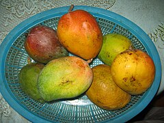 'Sidur' mango of Bangladesh