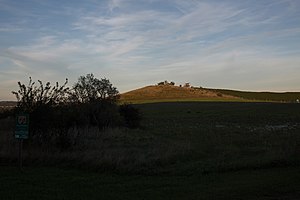 Siegendorfer Puszta und Heide