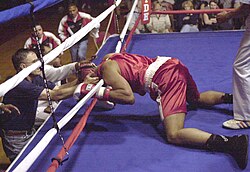 KNOCKOUT? Qual é o significado e a tradução de KNOCKOUT?