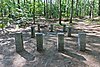 Walden Pond Site of Thoreau's cabin.JPG