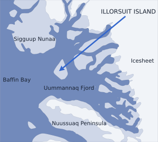 Illorsuit Island island in Greenland