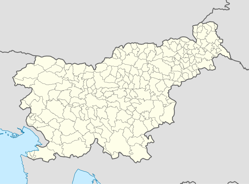 Slovenian Futsal League is located in Slovenia