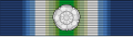 South Atlantic Medal ribbon bar with rosette