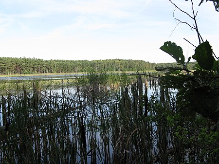 Speck Mühlensee 2009 08 31 129