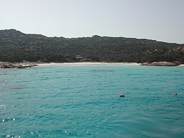 The Pink Beach in Budelli Spiaggia rosa.JPG