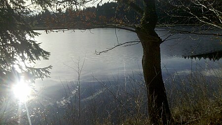 Stadler Weiher