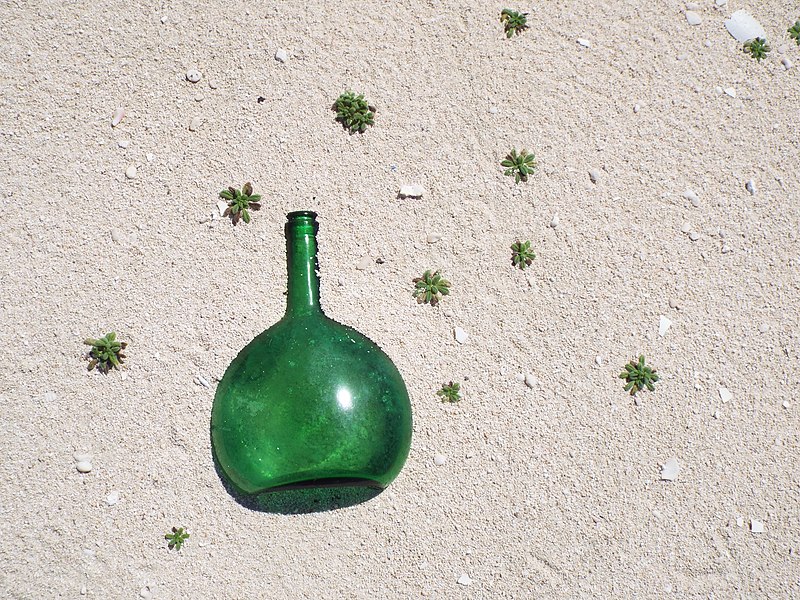 File:Starr-130914-1457-Nama sandwicensis-tiny plants surrounding green glass bottle marine debris-North Desert-Laysan (25224886155).jpg