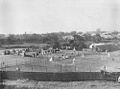 StateLibQld 2 68515 Metropolitan tennis tournament, Brisbane, 1908.jpg