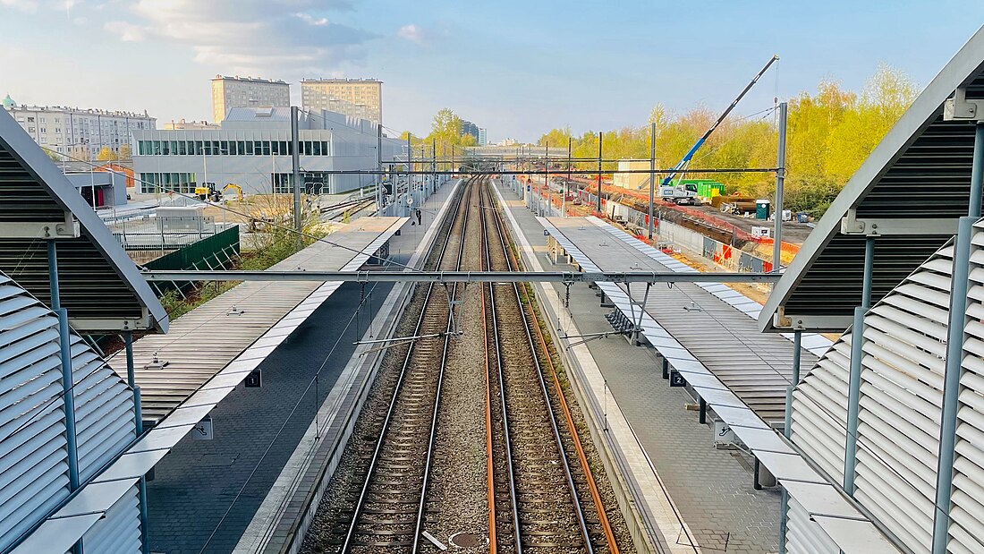 File:Station Brussel-West Sporen.jpg