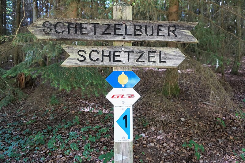 File:Steinsel, Grünewald, panneau Schetzelbuer-Schetzel.jpg