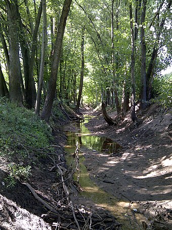 A low level stream in Macon County, Illinois, US