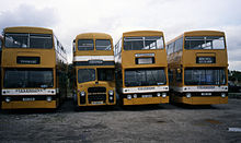 Stevensons of Uttoxeter fleet at Spath depot in 1988 Stevensons DMSs and PD2A.jpg