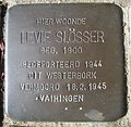 image=https://commons.wikimedia.org/wiki/File:Stolperstein_Wehl_Jonkheer_de_Bellefroidweg_Levie_Sl%C3%B6sser.jpg