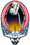 Sts-98 emblem