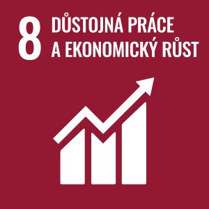 Sustainable Development Goal 08-cs.svg