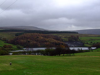 <span class="mw-page-title-main">Swineshaw Reservoir (Derbyshire)</span> Body of water
