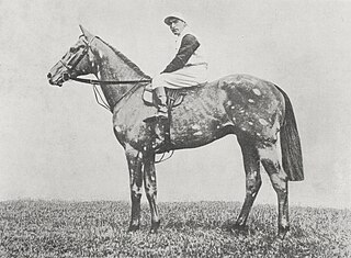 <span class="mw-page-title-main">The Tetrarch</span> Irish-bred Thoroughbred racehorse