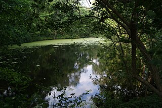 Wychwood Park Neighbourhood in Toronto, Ontario, Canada