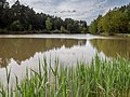 * Nomination Nature reserve Langenbachgrund --Ermell 06:48, 15 May 2017 (UTC) * Promotion Beautiful, and I particularly like the reflected clouds near the far bank. -- Ikan Kekek 07:51, 15 May 2017 (UTC)