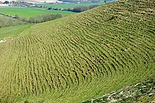 Terracettes above Kingston near Lewes