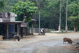 Thandaung, Myanmar (Birmania) - panoramio (1) .jpg