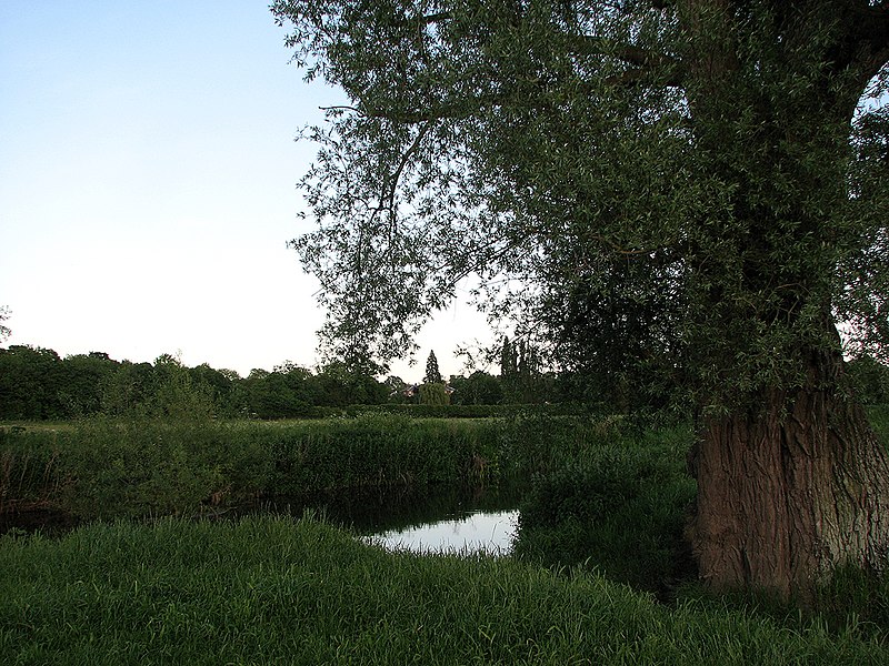 File:The Cam at Grantchester - geograph.org.uk - 2977463.jpg