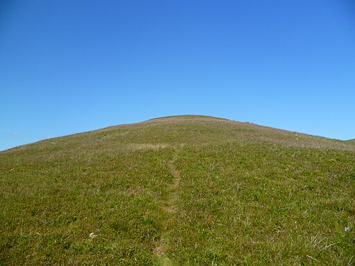 The Tongue - geograph.org.uk - 2490867