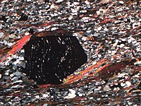 Microscopic view of garnet-mica-schist in thin section under polarized light with a large garnet crystal (black) in a matrix of quartz and feldspar (white and gray grains) and parallel strands of mica (red, purple and brown).