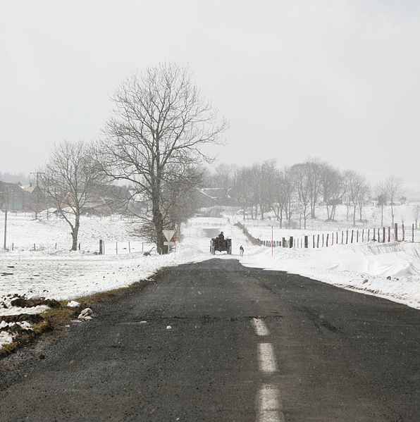 File:Tracteur, chien et neige, Auvergne.jpg